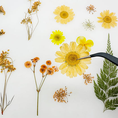 33 PCS Dried Pressed Flowers for Resin, Real Pressed Flowers Dry Leaves Kit Natural Dried Pressed Leaves for Art Crafts Resin Scrapbook Supplies Soap Candle DIY, Yellow