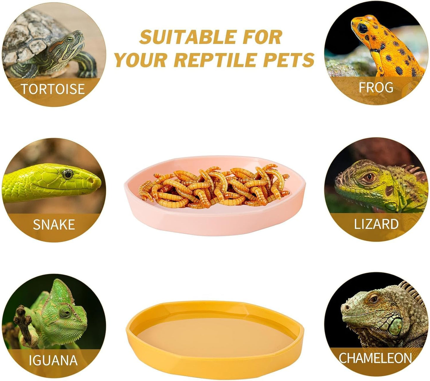 4 Pack Small Reptile Food Dish Bowl, Plastic Worm Water Dish Plate | Reptile Food Bowls for Lizard Gecko Bearded Dragon Chameleon 4" W x 4" D x 0.5" H, Blue and Yellow