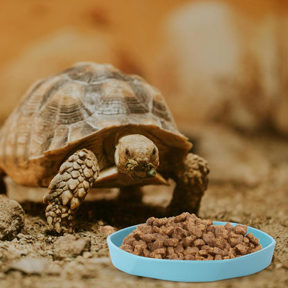 4 Pack Small Reptile Food Dish Bowl, Plastic Worm Water Dish Plate | Reptile Food Bowls for Lizard Gecko Bearded Dragon Chameleon 4" W x 4" D x 0.5" H, Blue and Yellow