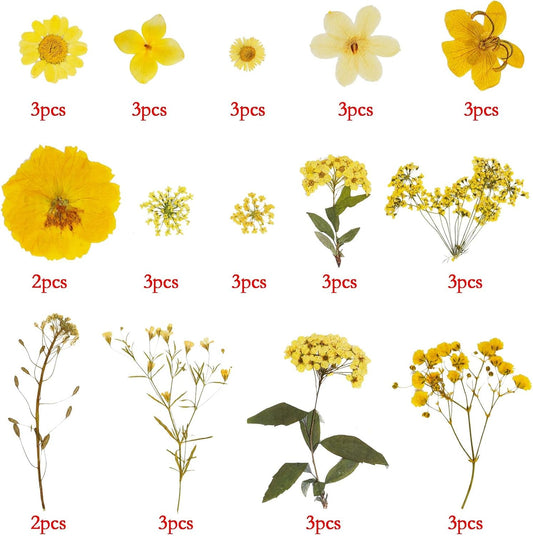 Natural Dried Flowers Mixed Multi-Color Pressed Flower Mini Rose Hydrangea Daisy for Art Craft DIY Resin Nail Art Floral Decors (Yellow)