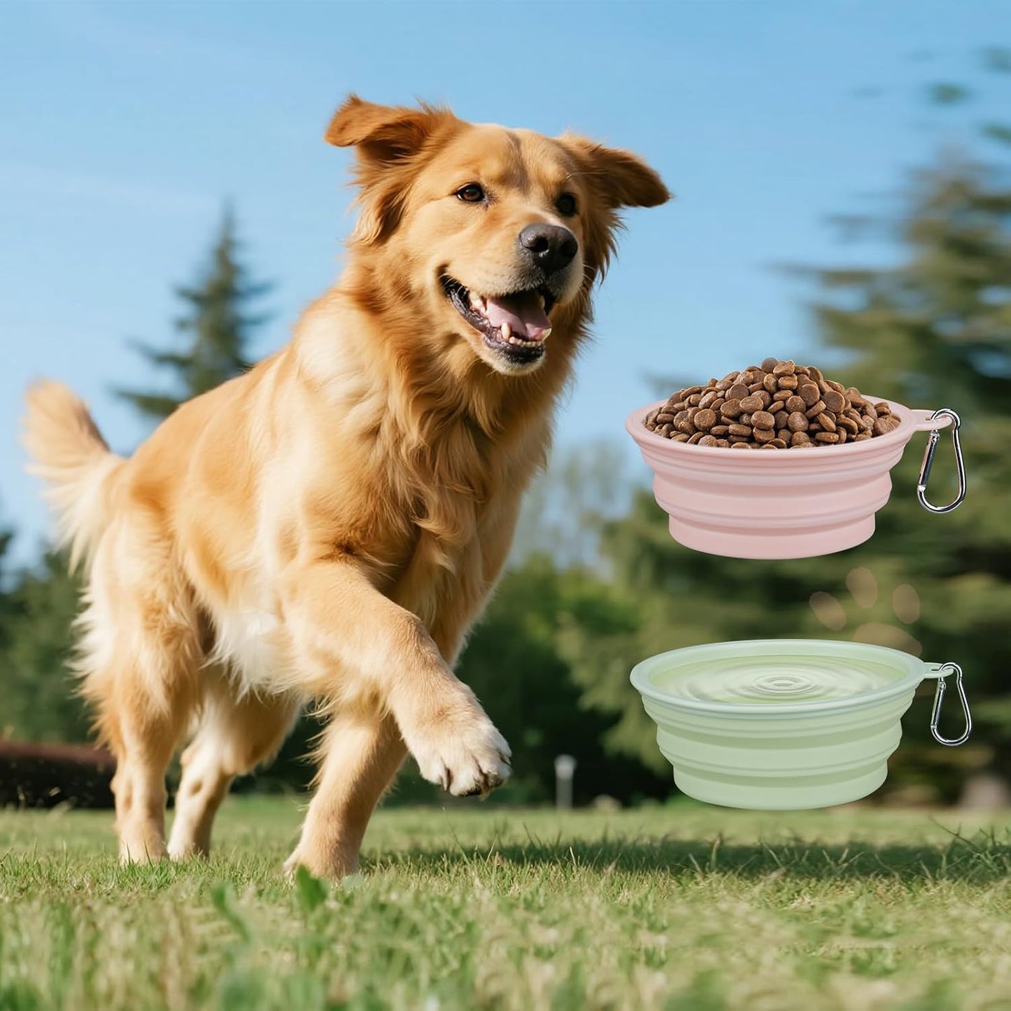 2-Pack Portable Dog Bowls, 12OZ Collapsible Dog& Cat Travel Bowl with Hook | BPA-Free Leak-Proof Collapsible Dog Water Bowl for Small Medium Pets, Travel, Camping Daily Indoor&Outdoor Essentials