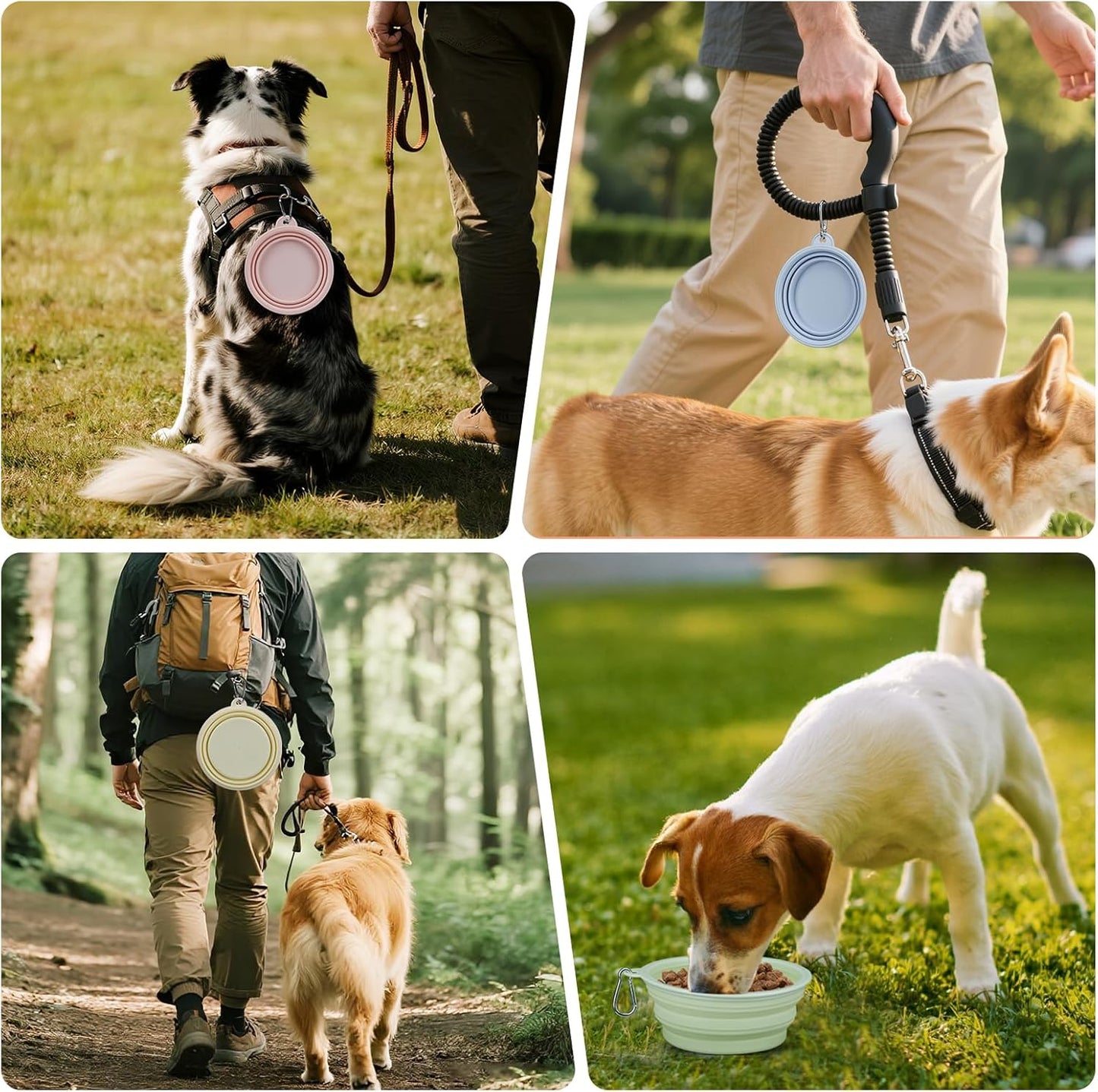 2-Pack Portable Dog Bowls, 12OZ Collapsible Dog& Cat Travel Bowl with Hook | BPA-Free Leak-Proof Collapsible Dog Water Bowl for Small Medium Pets, Travel, Camping Daily Indoor&Outdoor Essentials