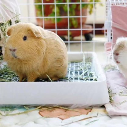 Rabbit Litter Box – Training Potty Tray for Guinea Pig & Small Pets · Spacious Grid Pan with Low Entrance, Easy-Clean & Odor-Resistant—Helps Keep a Clean Cage and Reduce Mess