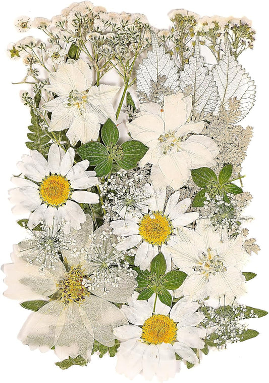 White Dried Pressed Flowers for Crafts,Real Natural Dried Flowers and Leaves for Resin Mold Scrapbooking DIY Candle Making Gifts（Modern Style）