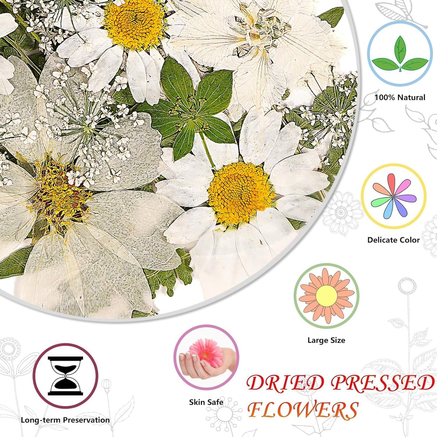 White Dried Pressed Flowers for Crafts,Real Natural Dried Flowers and Leaves for Resin Mold Scrapbooking DIY Candle Making Gifts（Modern Style）