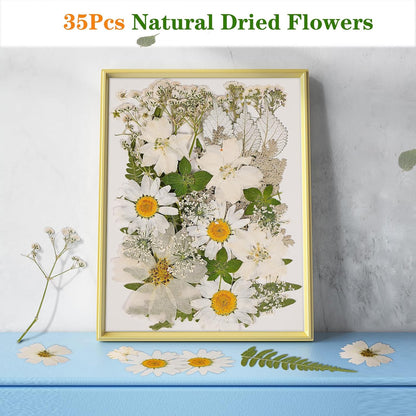 White Dried Pressed Flowers for Crafts,Real Natural Dried Flowers and Leaves for Resin Mold Scrapbooking DIY Candle Making Gifts（Modern Style）