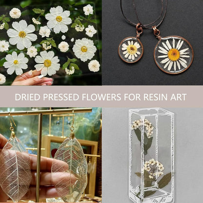White Dried Pressed Flowers for Crafts,Real Natural Dried Flowers and Leaves for Resin Mold Scrapbooking DIY Candle Making Gifts（Modern Style）
