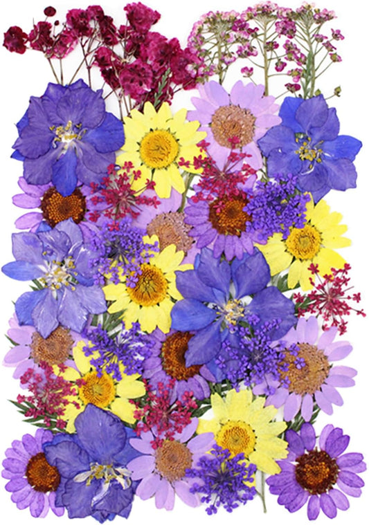 40 Pcs Dried Pressed Flowers for Resin DIY Art Crafts Natural Herbs Dry Plant Epoxy Jewelry Real Colorful Leaves Flower Herbarium Decor Cakes Phone Cases Candles Handmade Soap Purple Yellow