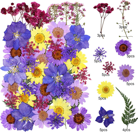 40 Pcs Dried Pressed Flowers for Resin DIY Art Crafts Natural Herbs Dry Plant Epoxy Jewelry Real Colorful Leaves Flower Herbarium Decor Cakes Phone Cases Candles Handmade Soap Purple Yellow