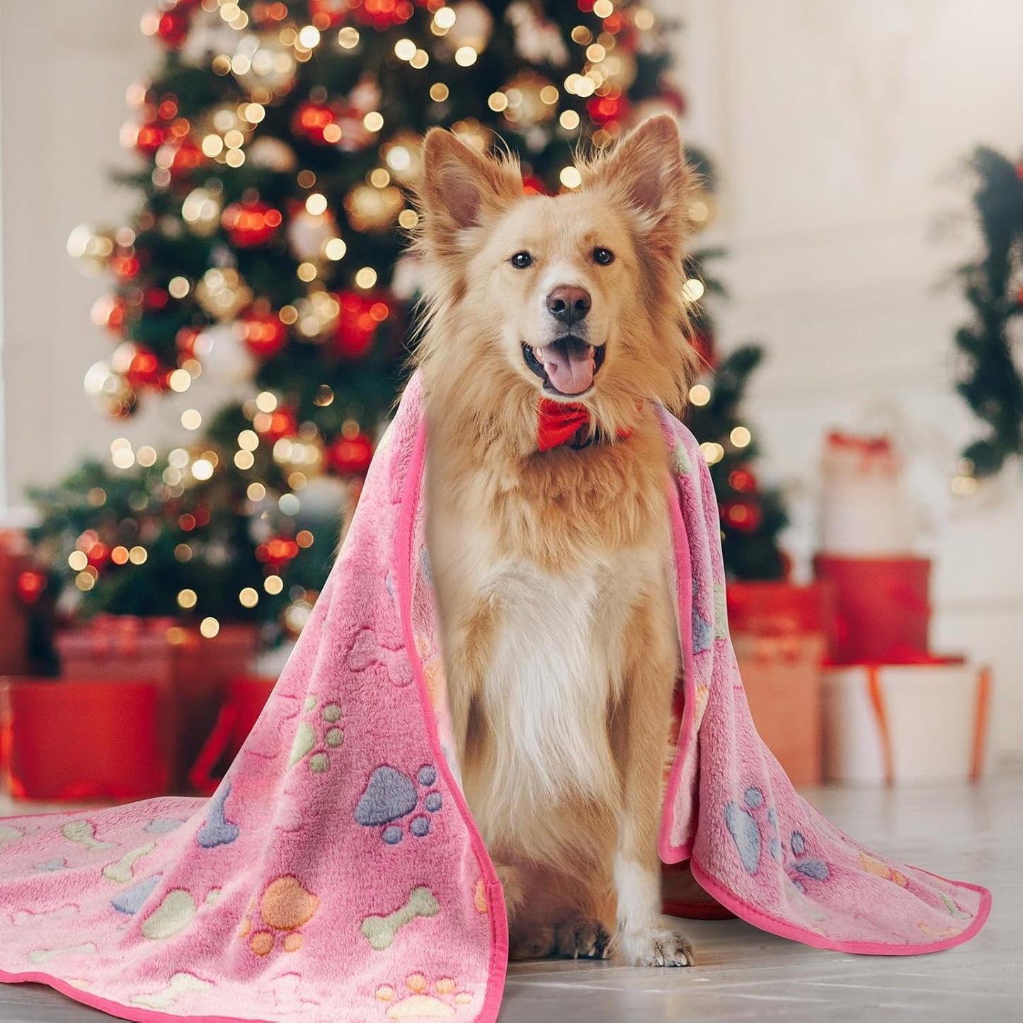 1 Pack 3 Dog Blankets, Soft Fluffy Fleece Pet Blanket Warm Sleep Mat Paw Print Design Puppy Kitten Throw Blanket Doggy Mat, Blanket for Dogs