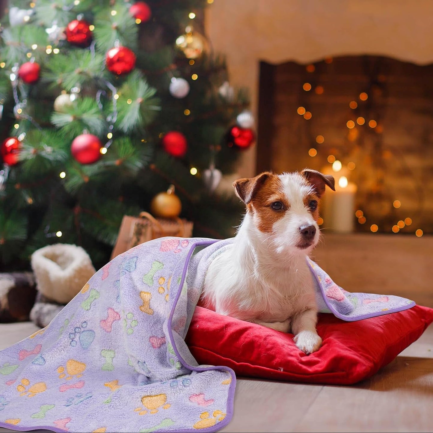 1 Pack 3 Dog Blankets, Soft Fluffy Fleece Pet Blanket Warm Sleep Mat Paw Print Design Puppy Kitten Throw Blanket Doggy Mat, Blanket for Dogs