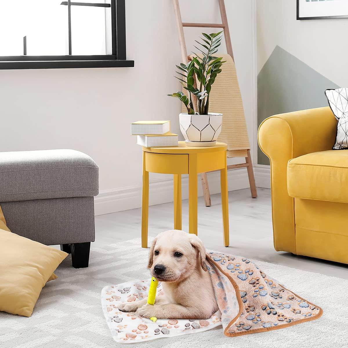 1 Pack 3 Dog Blankets, Soft Fluffy Fleece Pet Blanket Warm Sleep Mat Paw Print Design Puppy Kitten Throw Blanket Doggy Mat, Blanket for Dogs