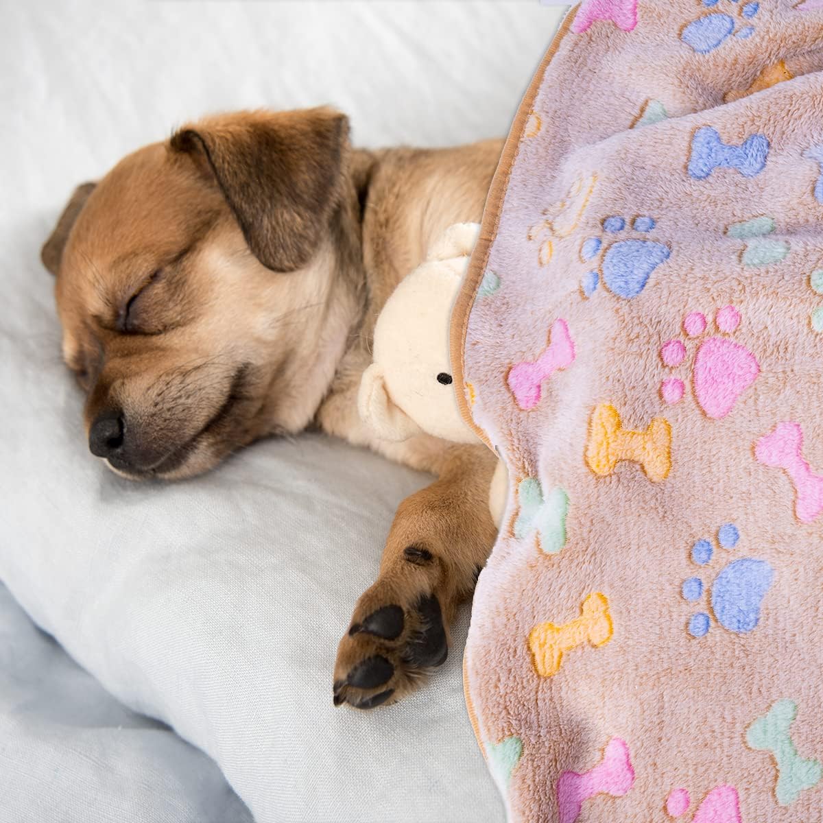 1 Pack 3 Dog Blankets, Soft Fluffy Fleece Pet Blanket Warm Sleep Mat Paw Print Design Puppy Kitten Throw Blanket Doggy Mat, Blanket for Dogs
