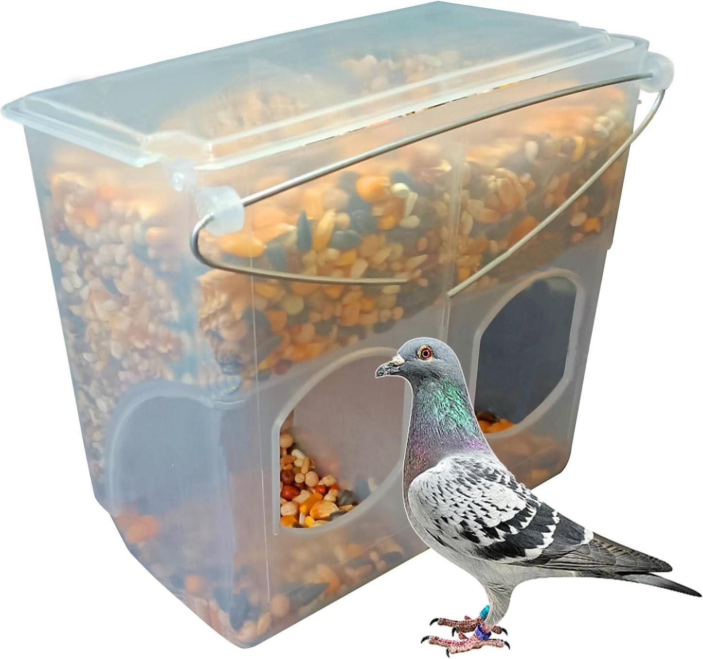 Automatic Pigeon Bird Feeder Water, Plastic Feeder Water Dispenser Drinkers for Cage, No Mess Hanging Parrot Food Feeding, Cage Accessories for Parakeet Quail Bird Chicken (2 Hole - Iron Wire)