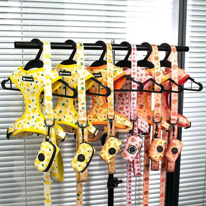 Dog Harness and Leash Set, Adjustable Dog Harness, Dog Leash, No Pull No Choke Puppy Harnesses for Walking Training for Small Medium Large Pet