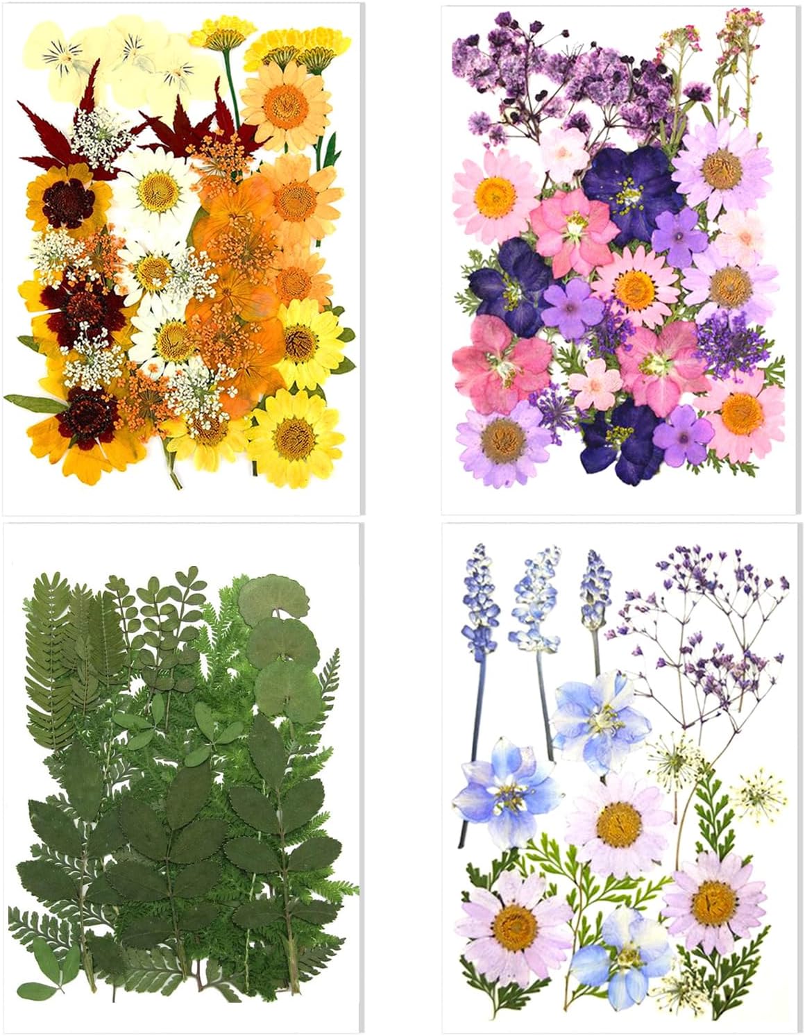 106 Pieces Assorted Real Dried Pressed Flowers Leaves Natural Dry Flower for Resin, Cake Decor,Crafts, Candles, Soap Making, Scrapbook Supplies(Pink,Purple,Yellow,Green)
