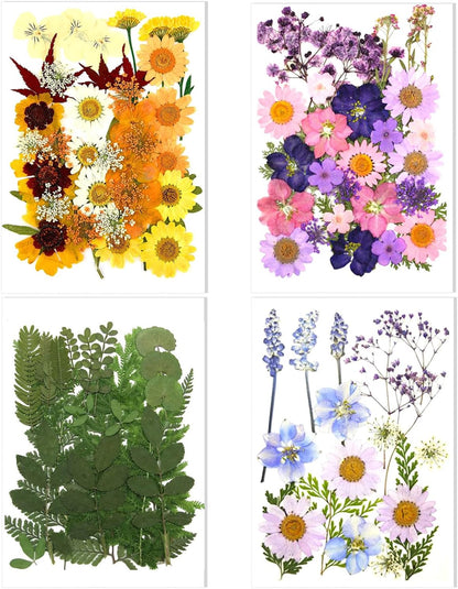 106 Pieces Assorted Real Dried Pressed Flowers Leaves Natural Dry Flower for Resin, Cake Decor,Crafts, Candles, Soap Making, Scrapbook Supplies(Pink,Purple,Yellow,Green)