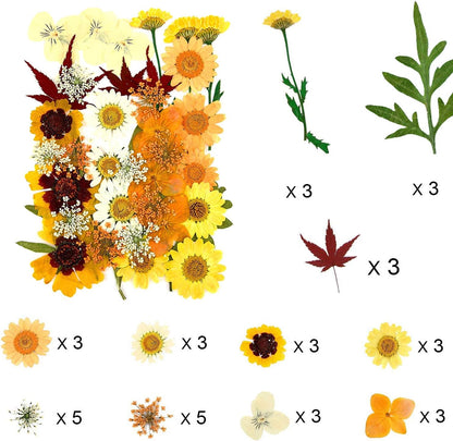 106 Pieces Assorted Real Dried Pressed Flowers Leaves Natural Dry Flower for Resin, Cake Decor,Crafts, Candles, Soap Making, Scrapbook Supplies(Pink,Purple,Yellow,Green)