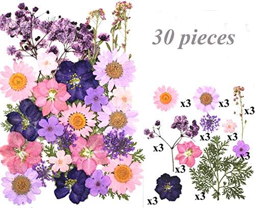 106 Pieces Assorted Real Dried Pressed Flowers Leaves Natural Dry Flower for Resin, Cake Decor,Crafts, Candles, Soap Making, Scrapbook Supplies(Pink,Purple,Yellow,Green)