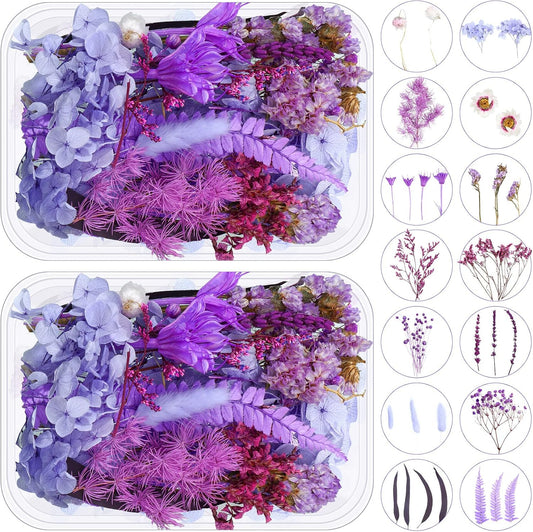 2 Boxes Dried Purple Flowers Dried Flower for Resin Crafts Real Natural Leaves Petals 13 Types Pressed Flowers for DIY Candle Nails Making Jewelry Scrapbooking Soap Wedding Home Decor