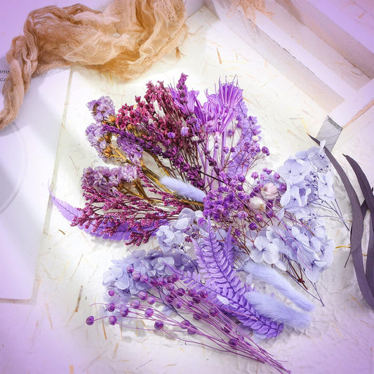 2 Boxes Dried Purple Flowers Dried Flower for Resin Crafts Real Natural Leaves Petals 13 Types Pressed Flowers for DIY Candle Nails Making Jewelry Scrapbooking Soap Wedding Home Decor