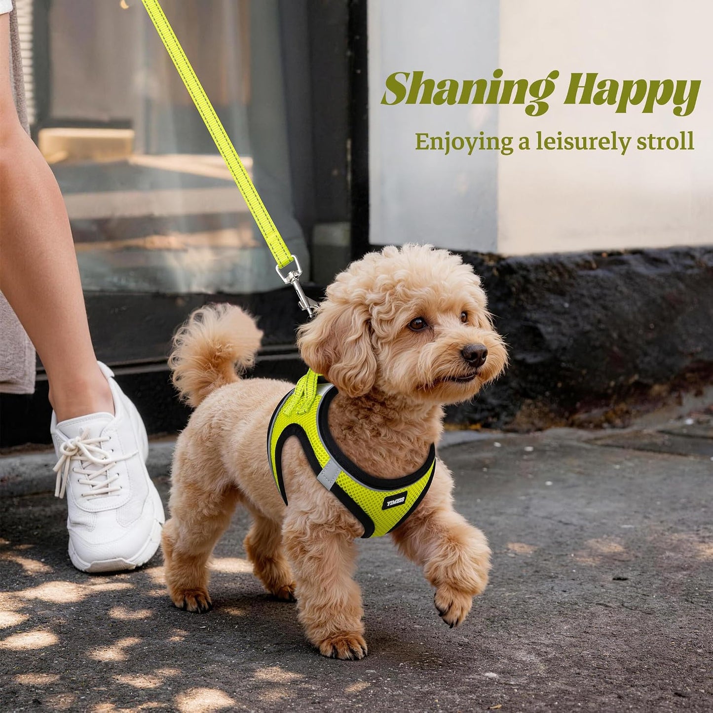 No Pull Dog Puppy Harness and Leash Set Reflective Mesh Vest X-Small