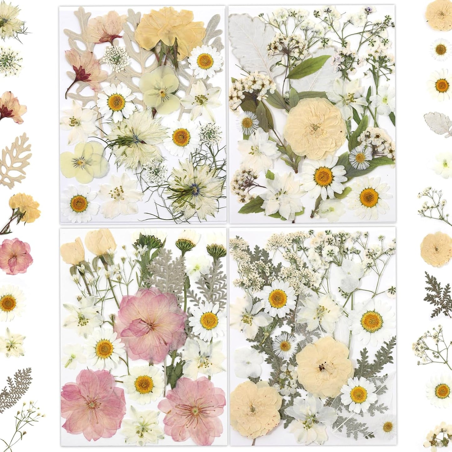 80P White Pink Dried Pressed Flowers | Ivory white palette, fits any project, blush butter hints, for wedding resin jewelry scrapbook frame decor, tweezers included