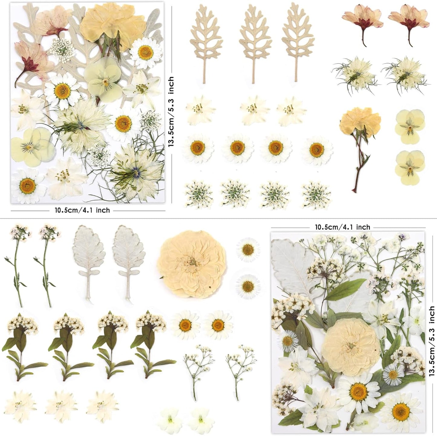 80P White Pink Dried Pressed Flowers | Ivory white palette, fits any project, blush butter hints, for wedding resin jewelry scrapbook frame decor, tweezers included