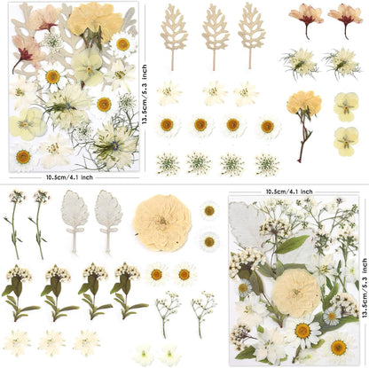 80P White Pink Dried Pressed Flowers | Ivory white palette, fits any project, blush butter hints, for wedding resin jewelry scrapbook frame decor, tweezers included