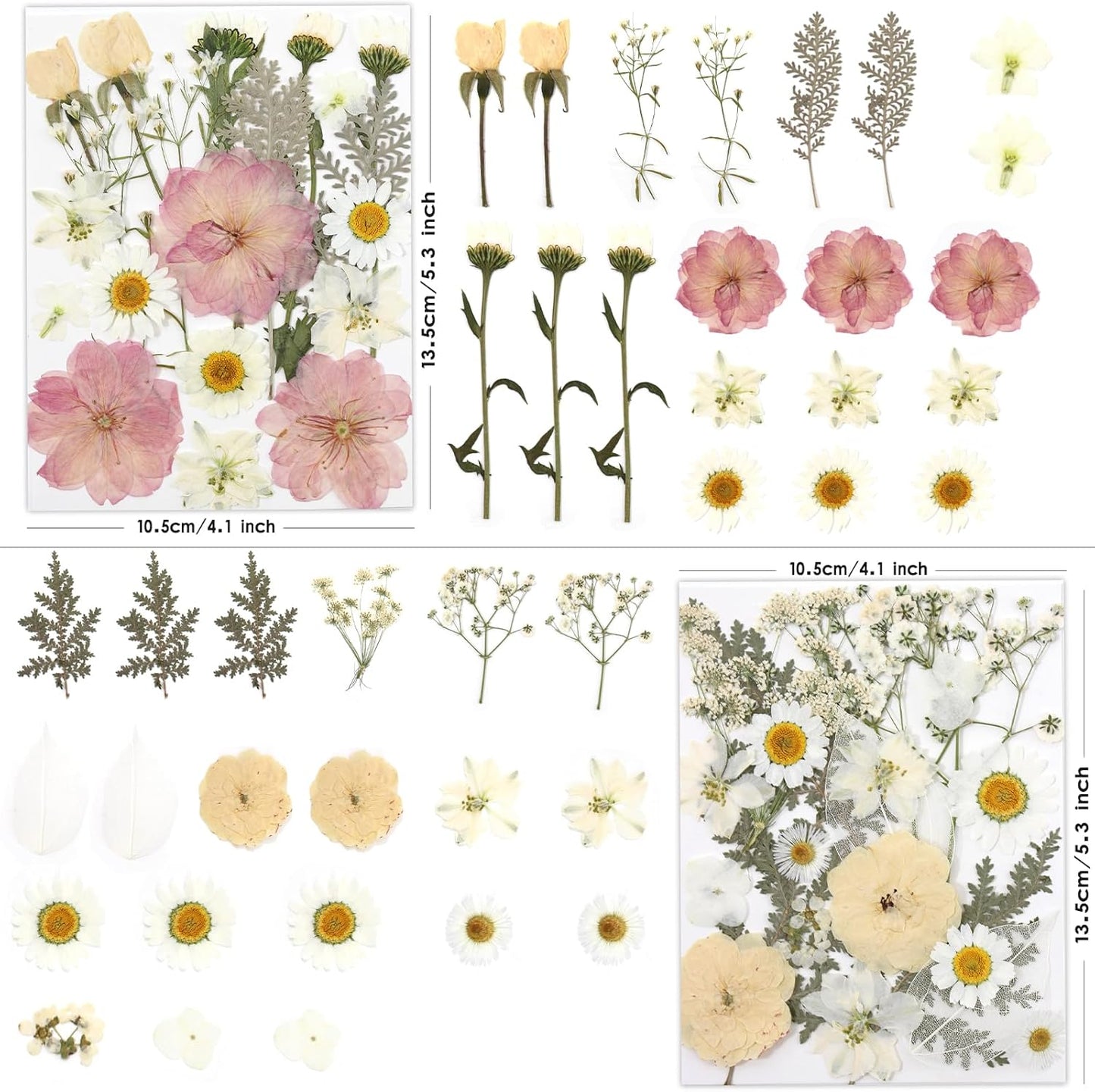80P White Pink Dried Pressed Flowers | Ivory white palette, fits any project, blush butter hints, for wedding resin jewelry scrapbook frame decor, tweezers included