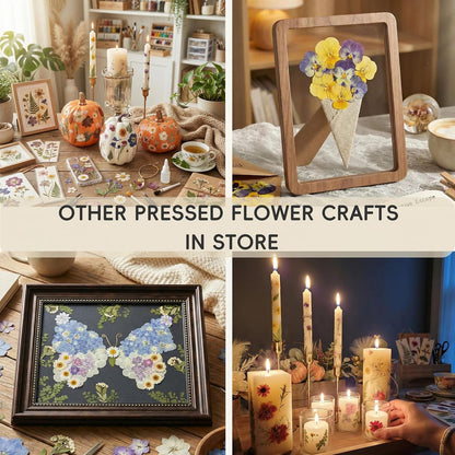 80P White Pink Dried Pressed Flowers | Ivory white palette, fits any project, blush butter hints, for wedding resin jewelry scrapbook frame decor, tweezers included
