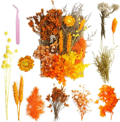 Real Dried Flowers, Natural Dry Flowers,Mixed Natural Pressed Dried Flowers,Real Dry Florals for Resin Crafts, Candle Making, DIY Art Projects (Orange)