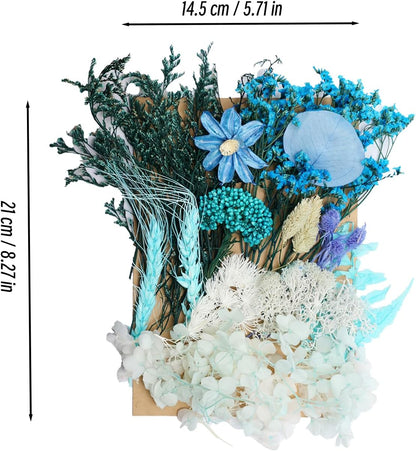 Real Dried Flowers, Natural Dry Flowers,Mixed Natural Pressed Dried Flowers,Real Dry Florals for Resin Crafts, Candle Making, DIY Art Projects (Orange)
