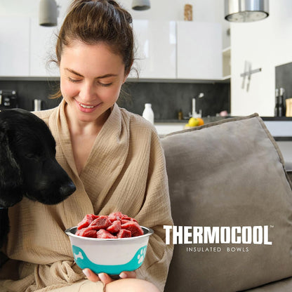 Thermocool Insulated Stainless Steel Pet Bowl - 8 Oz (X-Small) Non-Slip Feeding Dish Reduces Sliding & Spills, Keeps Water Cold & Food Warm, Dishwasher Safe (Orange)