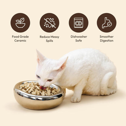 Pebble Pet Bowl Deep Yellow, Ergonomic Dog Cat Feeding Bowl, Flat-Faced Breed, Tilted Ceramic Pet Food Dish, Scooper Eater, Anti-Spill Design, Dishwasher Safe, Modern Pet Bowl, Dry & Wet Diet