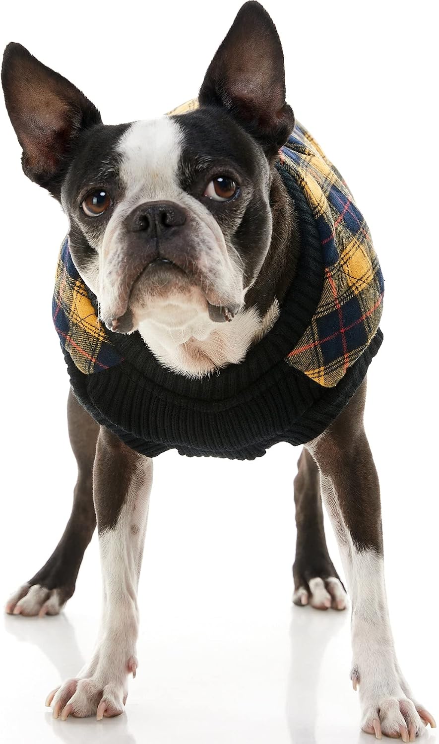 Fashion Vest Check Dog Jacket, Yellow Check, Small | Checkered quilted bomber, water-resistant; Stretch knit bottom; Dual D-ring leash; Pain-free zipper guard