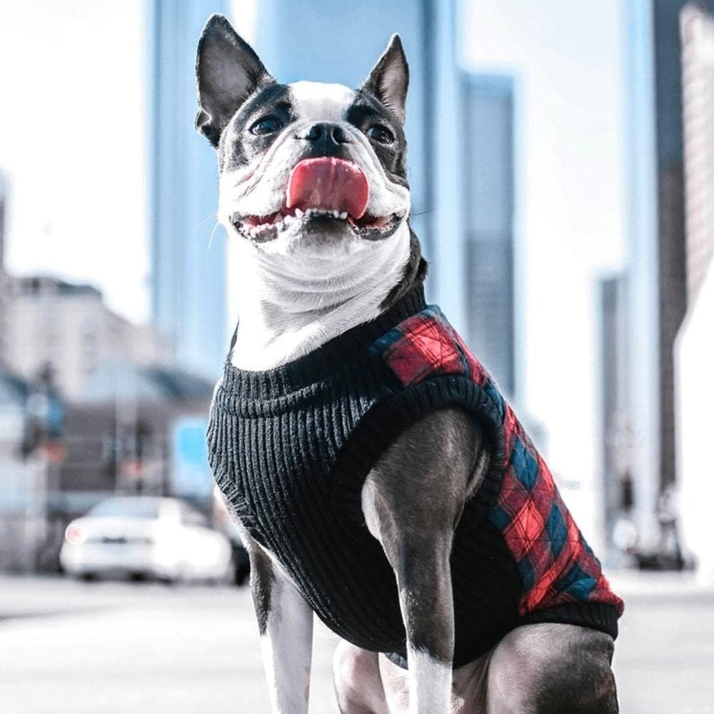 Fashion Vest Check Dog Jacket, Yellow Check, Small | Checkered quilted bomber, water-resistant; Stretch knit bottom; Dual D-ring leash; Pain-free zipper guard