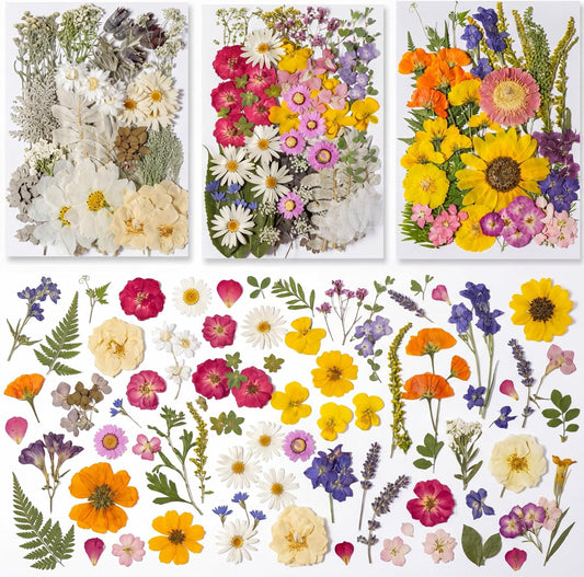 300 Pcs Dried Pressed Flowers Real Natural Floral Mix Soft Multicolor Pressed Flowers and Leaves for Resin Craft DIY Jewelry Nail Art Scrapbooking Card Making Frame Decor (Stylish Style)