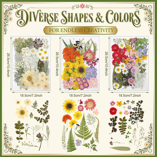300 Pcs Dried Pressed Flowers Real Natural Floral Mix Soft Multicolor Pressed Flowers and Leaves for Resin Craft DIY Jewelry Nail Art Scrapbooking Card Making Frame Decor (Stylish Style)