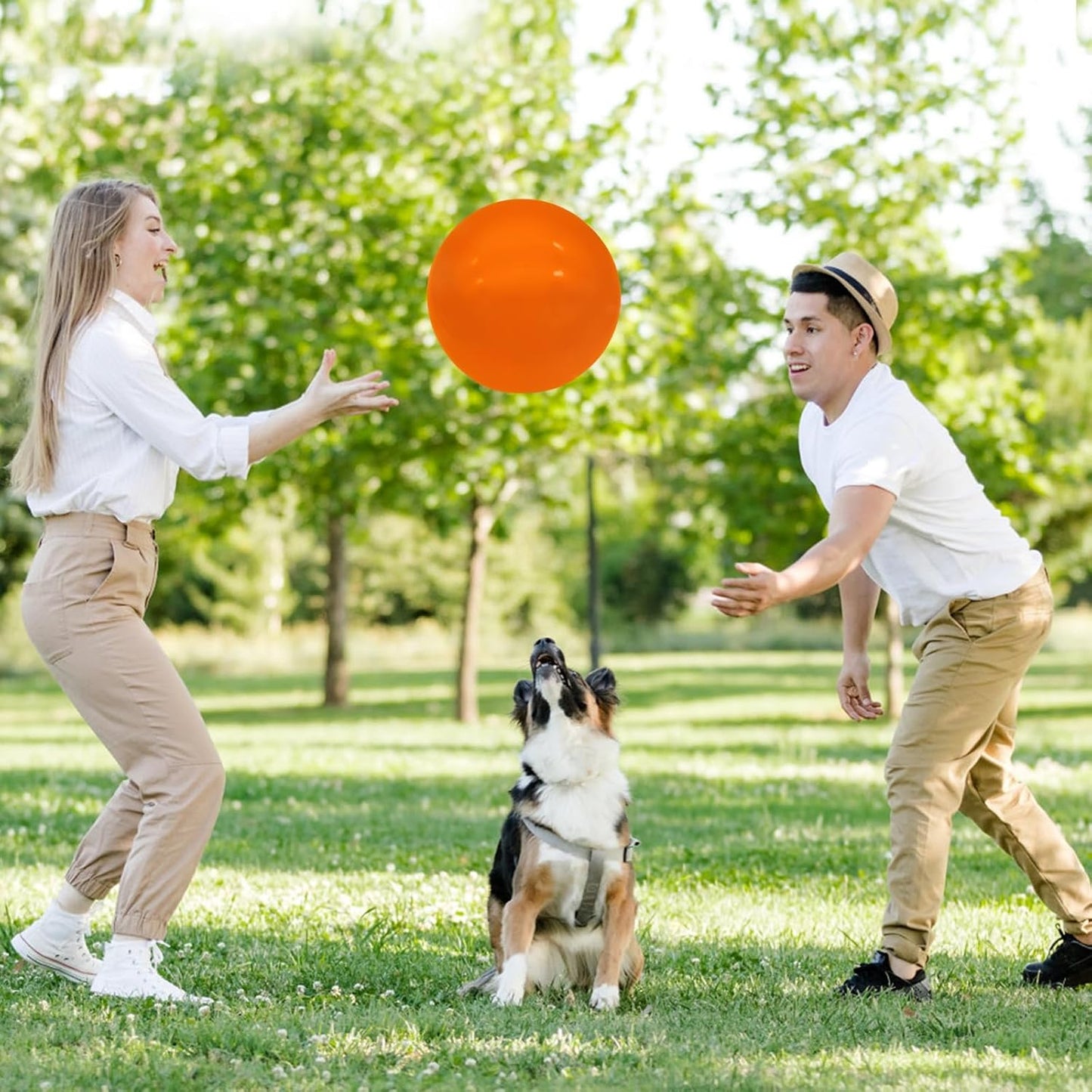 6 Pcs 6 Inch Inflatable Bouncy Balls, with 1 Hand Air Pump