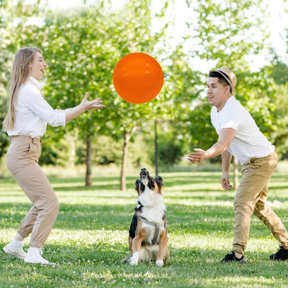 6 Pcs 6 Inch Inflatable Bouncy Balls, with 1 Hand Air Pump