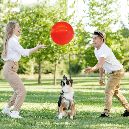 6 Pcs 6 Inch Inflatable Bouncy Balls, with 1 Hand Air Pump