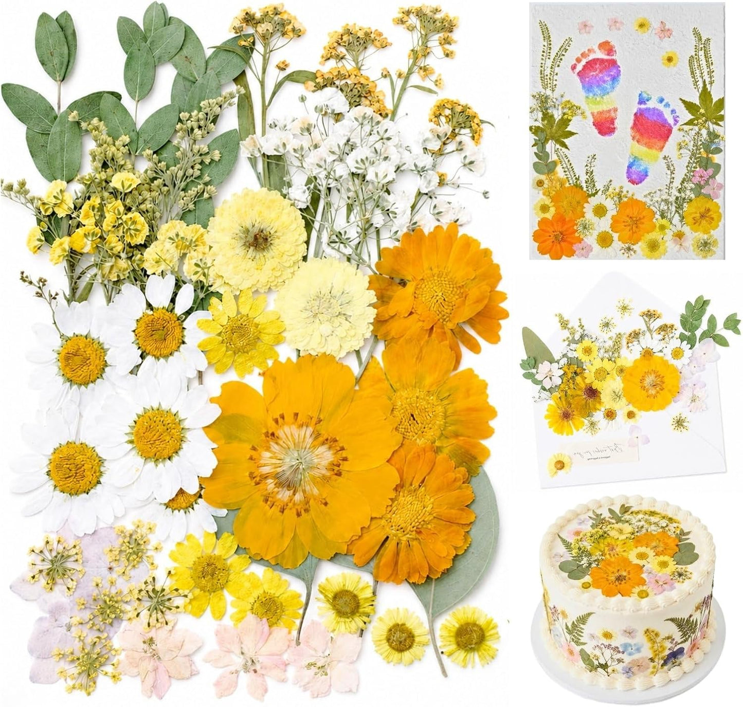 Dried Pressed Flowers for Resin, 50 Pcs Real Dried Flowers for Crafts | Natural Pressed Dried Flowers for Crafts Art, Scrapbooking, Soap Candle Making, DIY Decoration & Handmade Projects