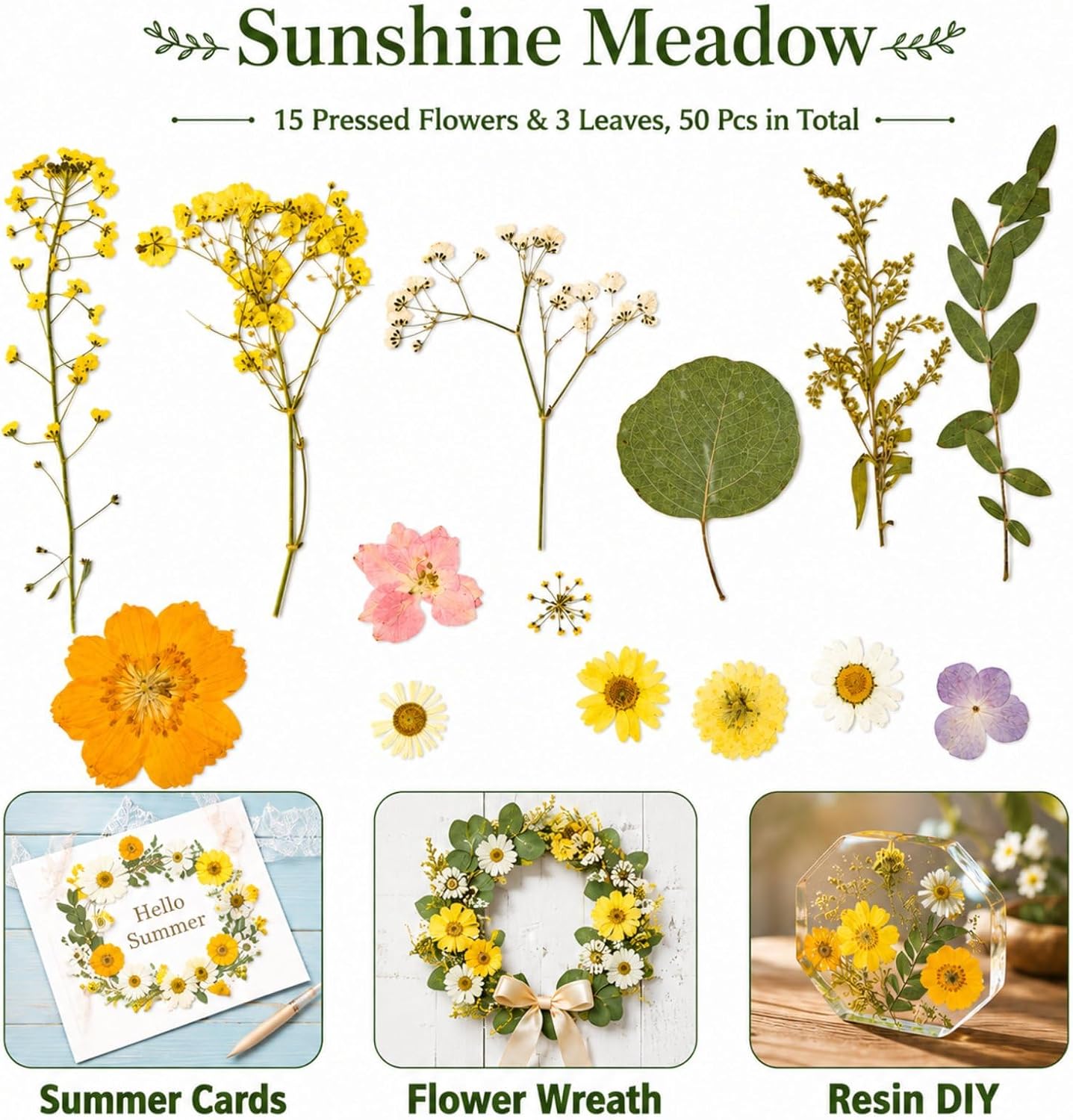 Dried Pressed Flowers for Resin, 50 Pcs Real Dried Flowers for Crafts | Natural Pressed Dried Flowers for Crafts Art, Scrapbooking, Soap Candle Making, DIY Decoration & Handmade Projects