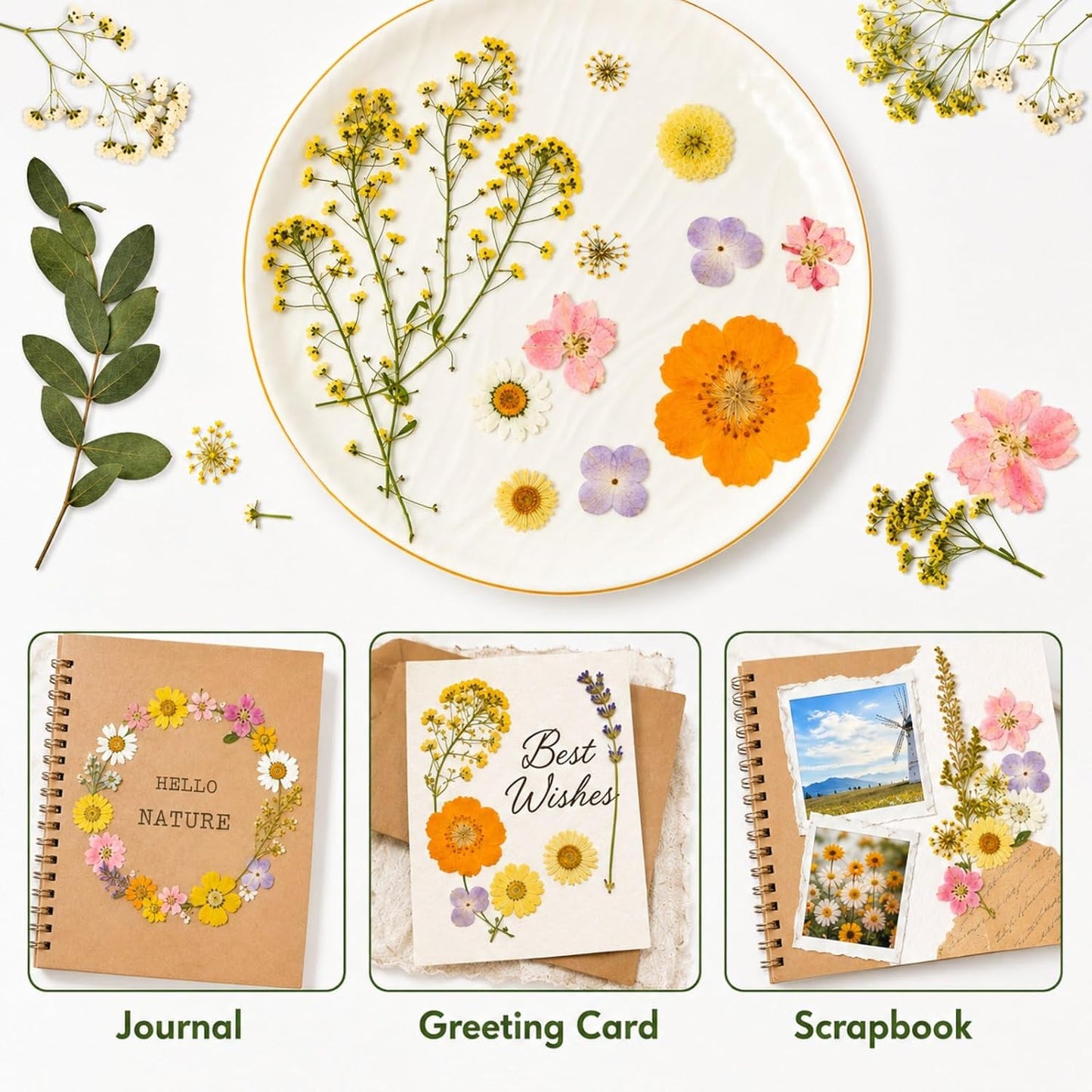 Dried Pressed Flowers for Resin, 50 Pcs Real Dried Flowers for Crafts | Natural Pressed Dried Flowers for Crafts Art, Scrapbooking, Soap Candle Making, DIY Decoration & Handmade Projects