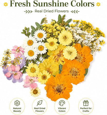 Dried Pressed Flowers for Resin, 50 Pcs Real Dried Flowers for Crafts | Natural Pressed Dried Flowers for Crafts Art, Scrapbooking, Soap Candle Making, DIY Decoration & Handmade Projects
