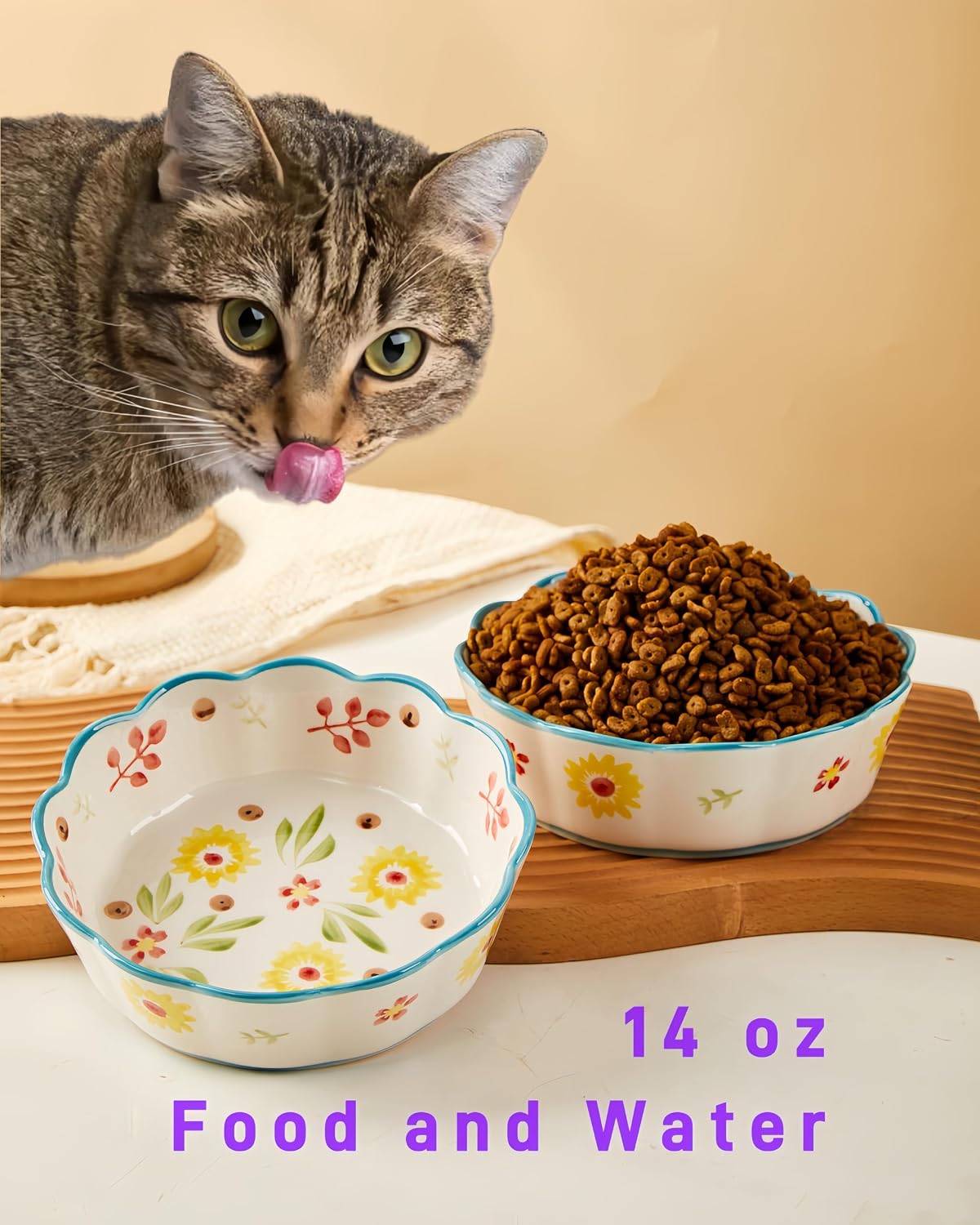 Hand Painted Cat Bowl Ceramic, Shallow Wide Cat Food Bowl Whisker Friendly | Crafted Lead-Free Glaze, Large-capacity, Suitable for Dry Food, Wet Food and Water, 2-Pack, Oven Microwave Tolerant