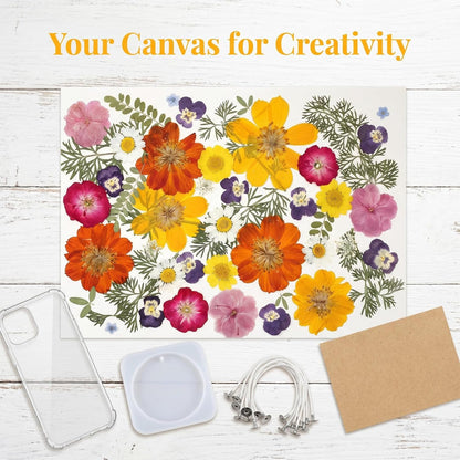 36Pcs Pressed Dried Flowers Kit – Includes Sulphur Cosmos, Pansy & Green Leaves – Real Natural Dry Floral for Cake Decorations Topper Resin Jewelry, Nail Art, Epoxy Molds, Scrapbooking, DIY Crafts