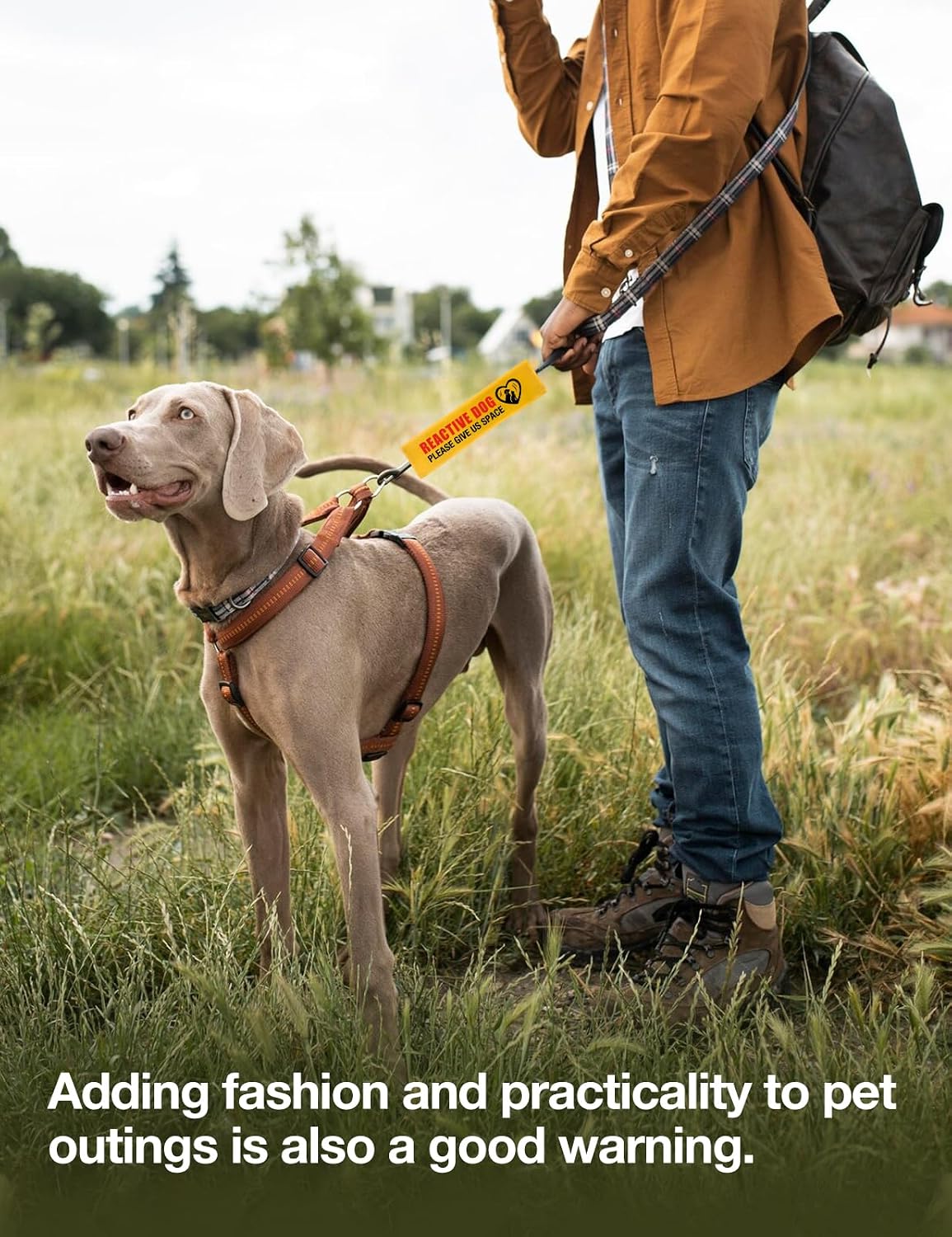 Funny Give Me Space Not Friendly Dog Leash Sleeve, Do Not Pet Wrap with ID Patch Tag, Reactive Dog Leash Sign Accessory for Dogs Owners