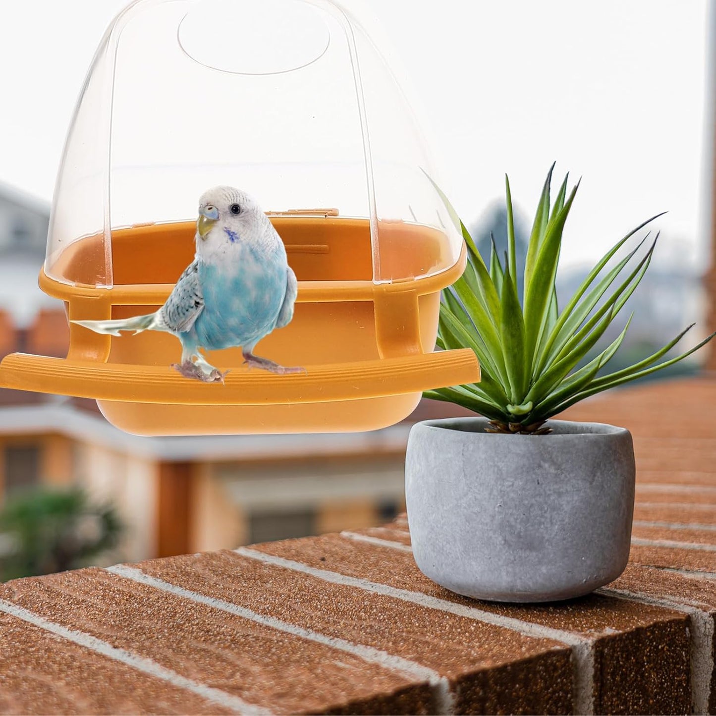 2pcs Hanging Bird Feeder Cups for Cage with No Mess Design Yellow and Green Plastic Bird Food Bowl and Water Dispenser Suitable for Parakeets Pigeons in Indoor Cages